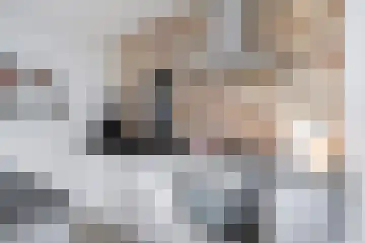 Bijenlaan 16 Son en Breugel thumbnail 14
