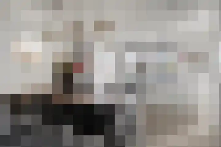 Bijenlaan 16 Son en Breugel thumbnail 16