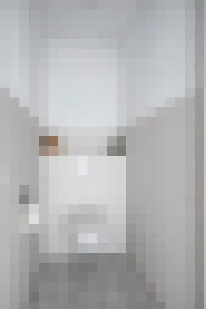 Bijenlaan 16 Son en Breugel thumbnail 19