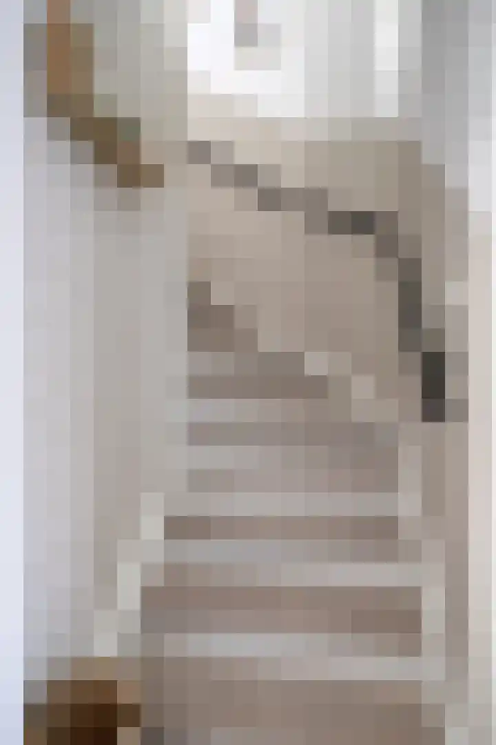 Bijenlaan 16 Son en Breugel thumbnail 20