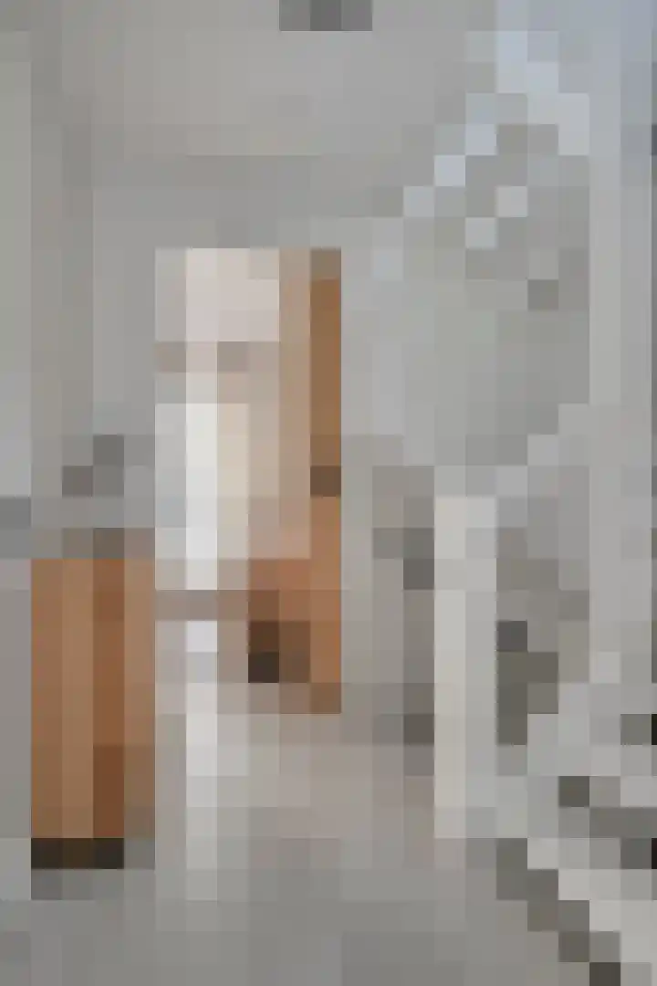 Bijenlaan 16 Son en Breugel thumbnail 22