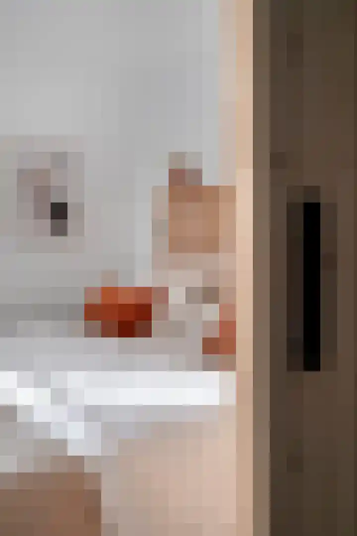 Bijenlaan 16 Son en Breugel thumbnail 23