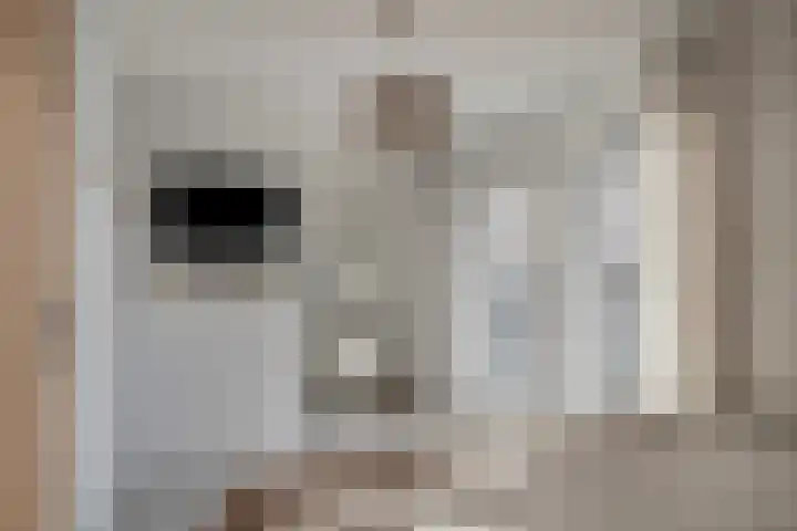 Bijenlaan 16 Son en Breugel thumbnail 25