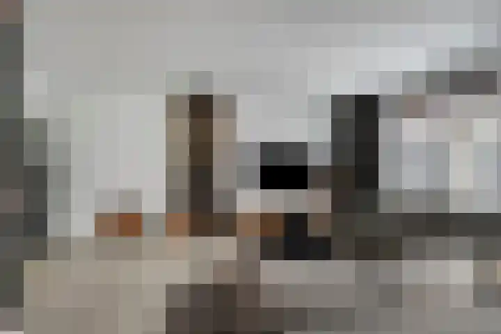 Bijenlaan 16 Son en Breugel foto 3