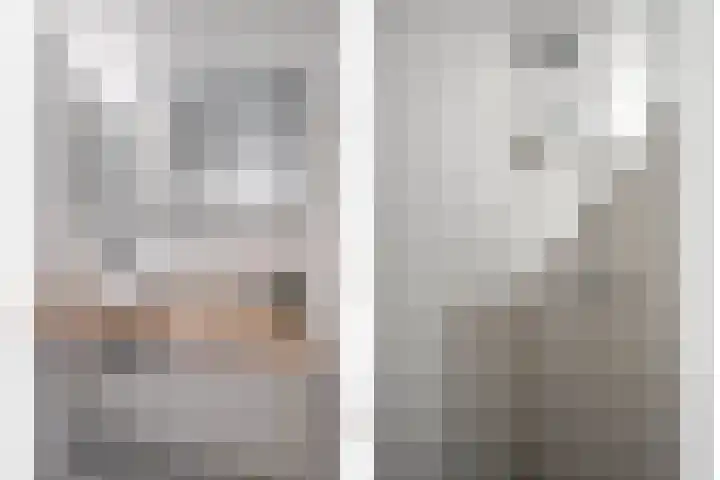 Bijenlaan 16 Son en Breugel thumbnail 30
