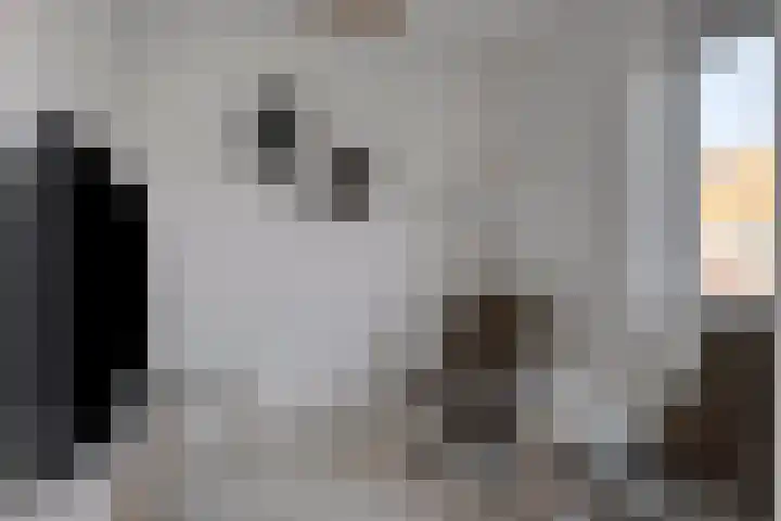 Bijenlaan 16 Son en Breugel thumbnail 33