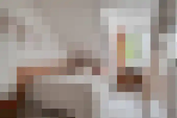 Bijenlaan 16 Son en Breugel thumbnail 39