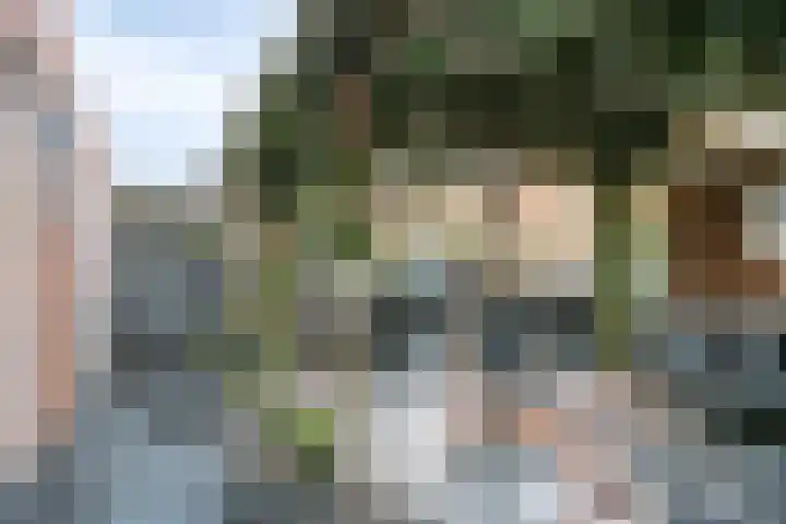 Bijenlaan 16 Son en Breugel thumbnail 44