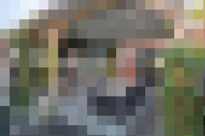 Bijenlaan 16 Son en Breugel thumbnail 47