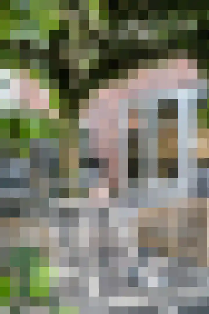 Bijenlaan 16 Son en Breugel thumbnail 48