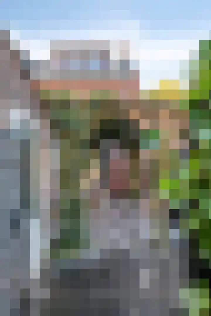 Bijenlaan 16 Son en Breugel thumbnail 49