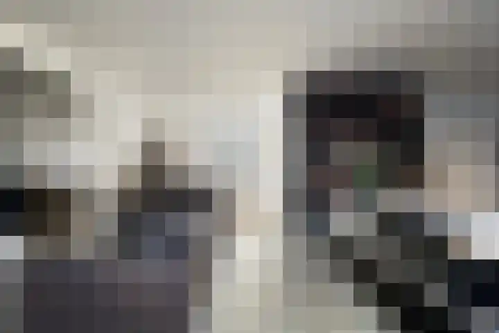 Bijenlaan 16 Son en Breugel thumbnail 5