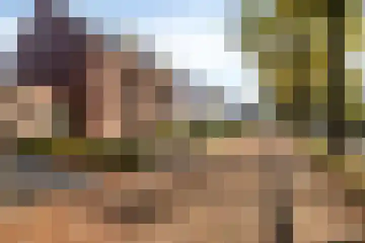 Bijenlaan 16 Son en Breugel thumbnail 50