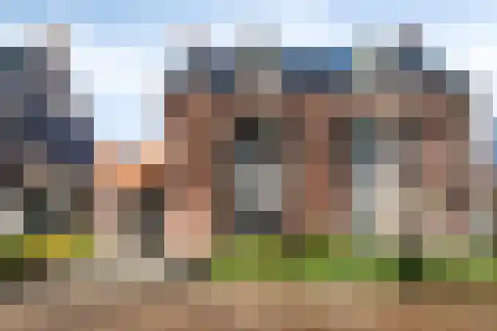 Bijenlaan 16 Son en Breugel thumbnail 51