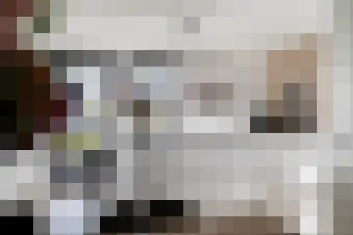 Bijenlaan 16 Son en Breugel thumbnail 7