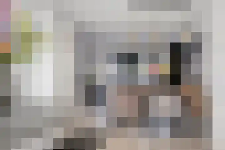 Bijenlaan 16 Son en Breugel thumbnail 9