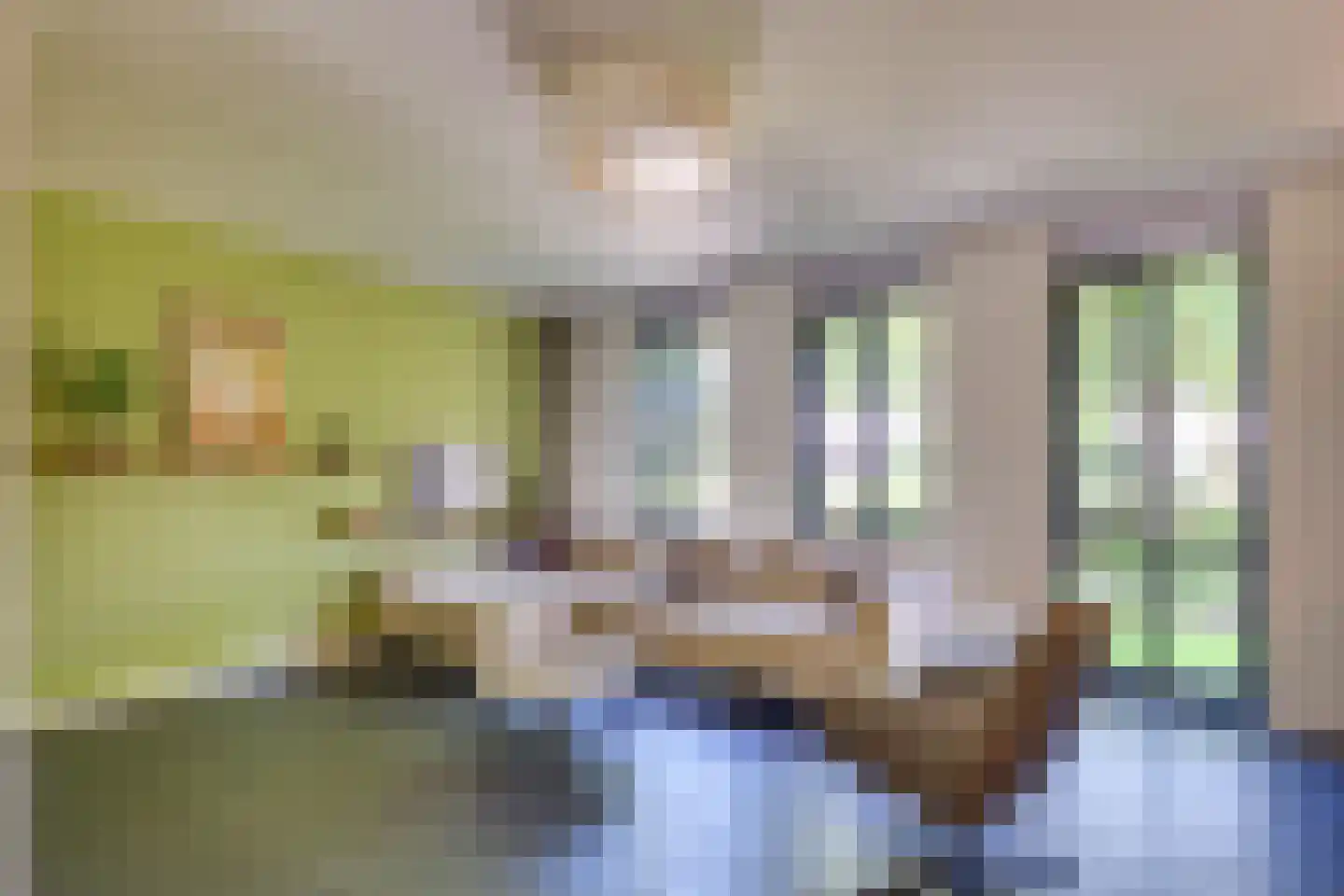 Bijenlaan 17 Son en Breugel thumbnail 13