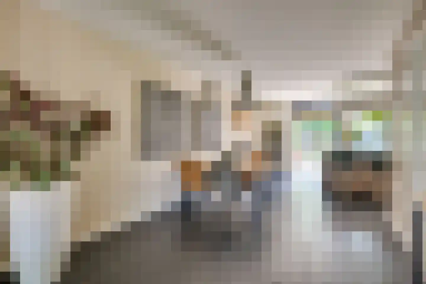 Bijenlaan 17 Son en Breugel thumbnail 14