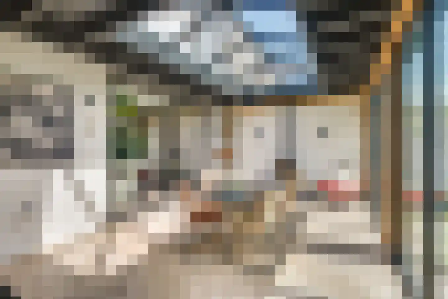 Bijenlaan 17 Son en Breugel thumbnail 20