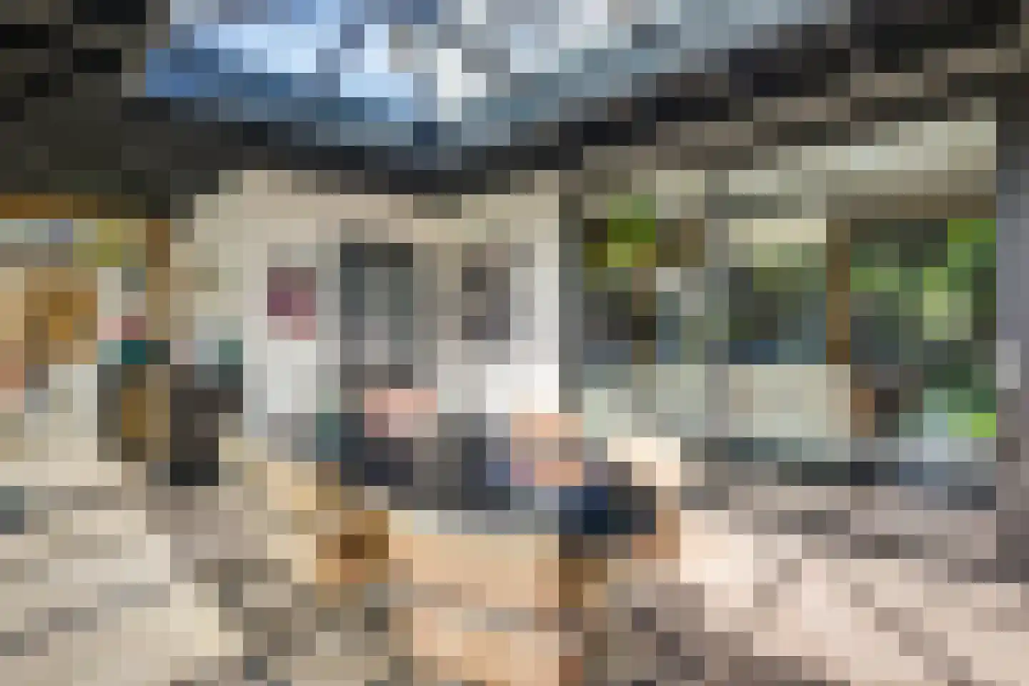 Bijenlaan 17 Son en Breugel thumbnail 21