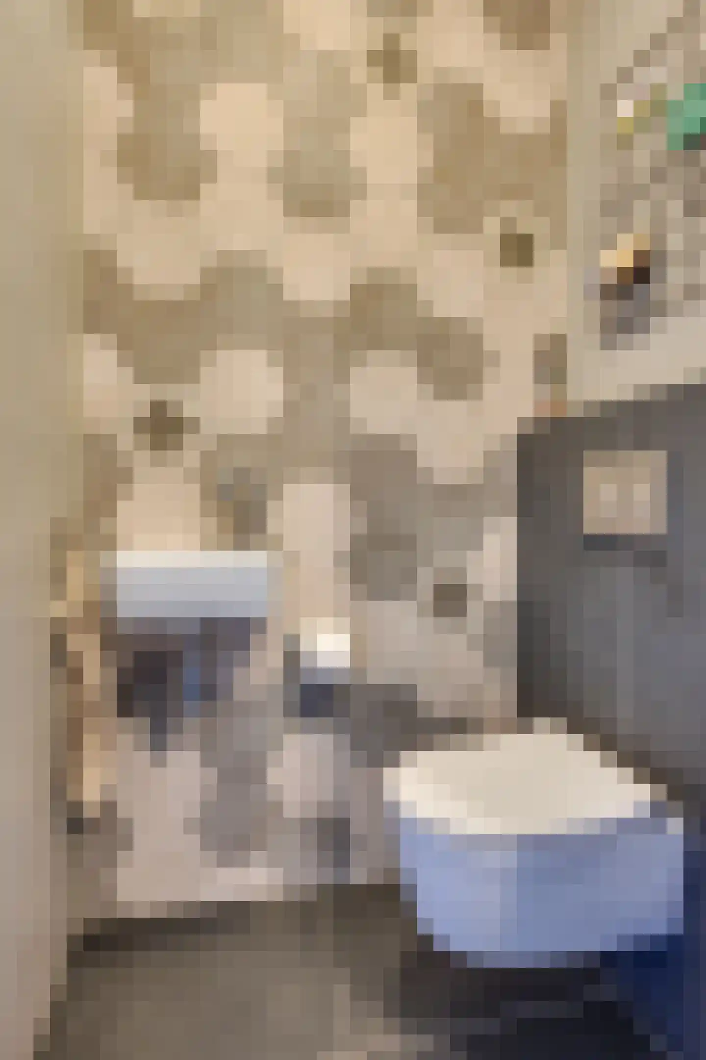 Bijenlaan 17 Son en Breugel thumbnail 8