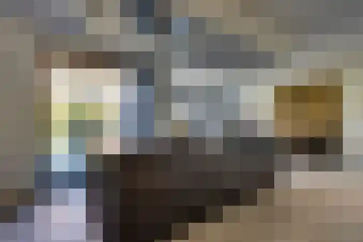 Bijenlaan 18 Son en Breugel thumbnail 10