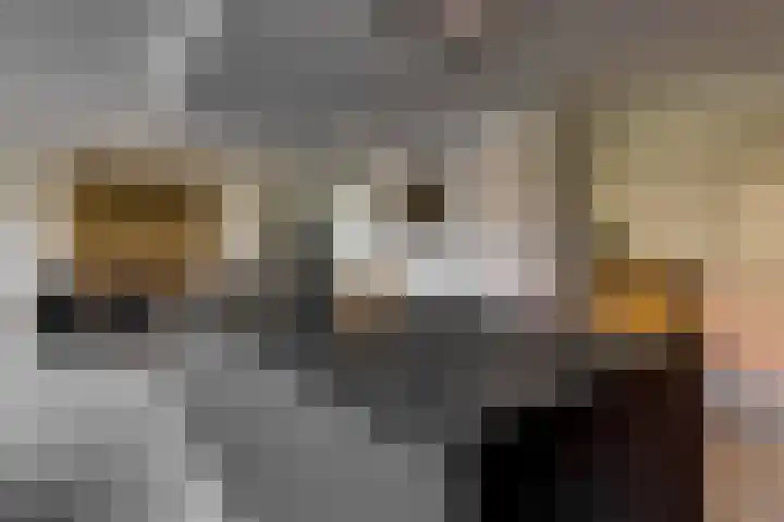 Bijenlaan 18 Son en Breugel thumbnail 11