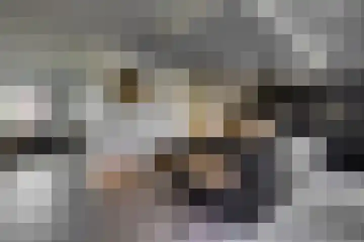 Bijenlaan 18 Son en Breugel thumbnail 12