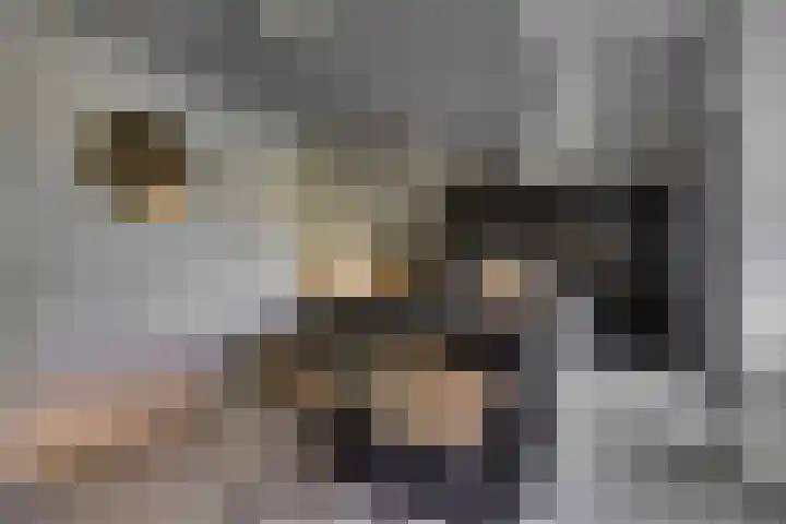 Bijenlaan 18 Son en Breugel thumbnail 13