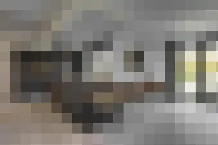Bijenlaan 18 Son en Breugel thumbnail 14