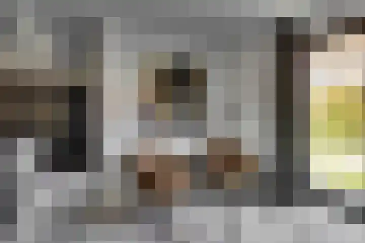 Bijenlaan 18 Son en Breugel thumbnail 16