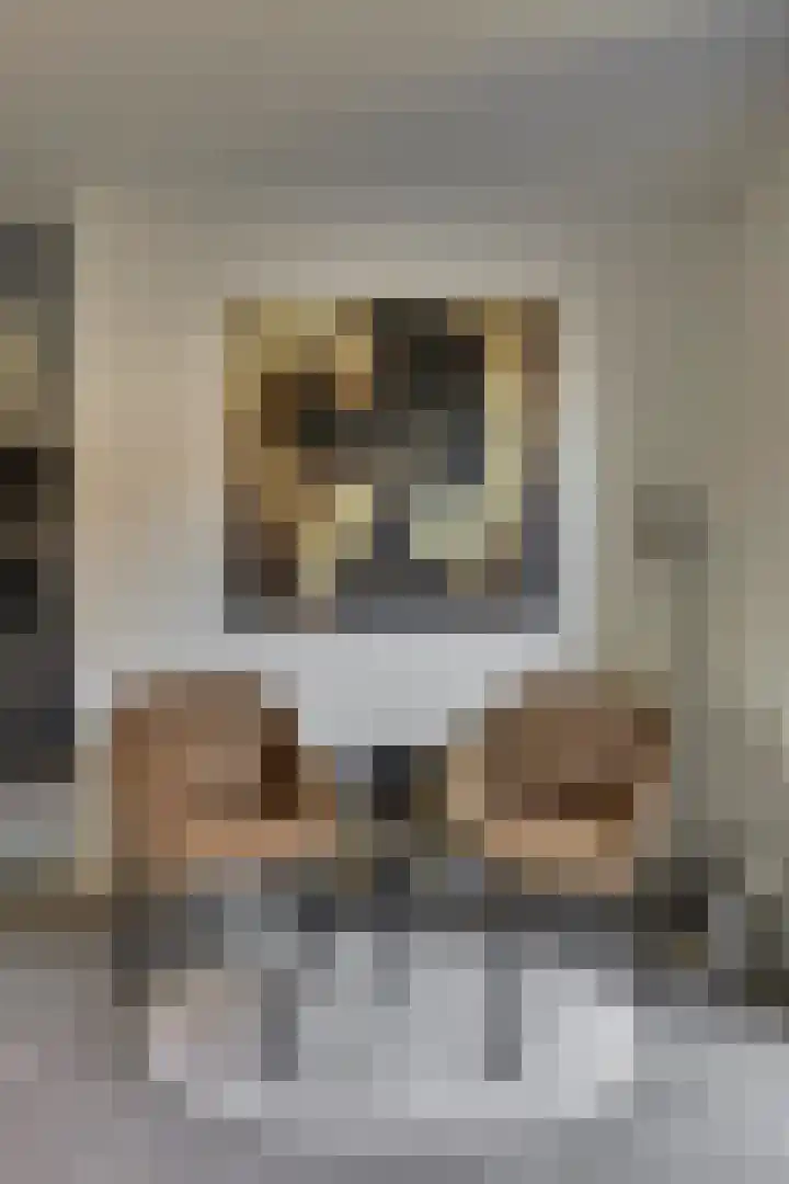 Bijenlaan 18 Son en Breugel thumbnail 17