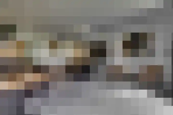 Bijenlaan 18 Son en Breugel thumbnail 18
