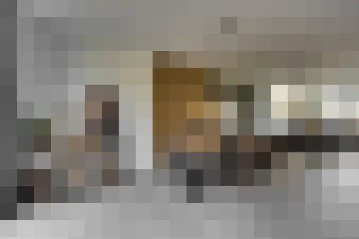 Bijenlaan 18 Son en Breugel thumbnail 19