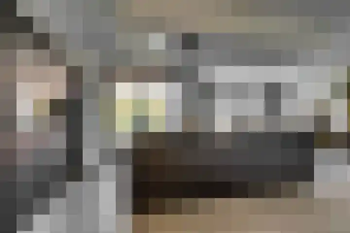 Bijenlaan 18 Son en Breugel foto 2