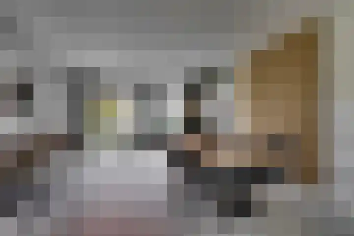 Bijenlaan 18 Son en Breugel thumbnail 20