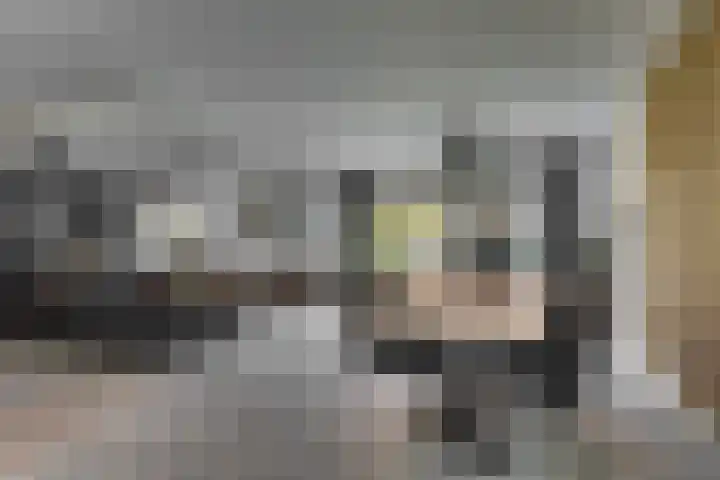 Bijenlaan 18 Son en Breugel thumbnail 21