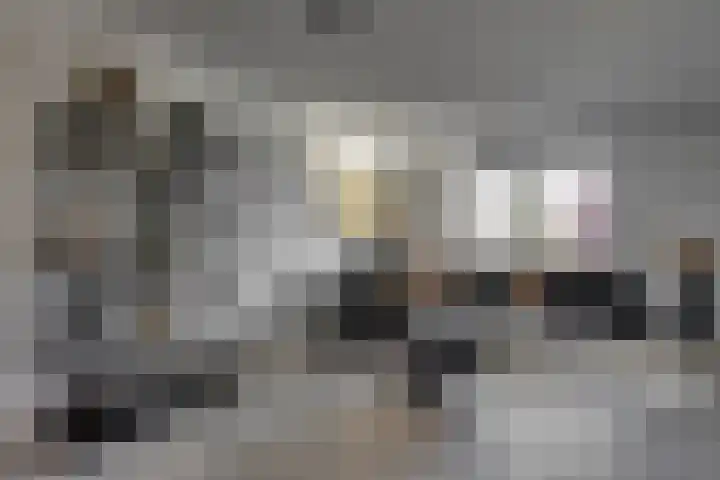 Bijenlaan 18 Son en Breugel thumbnail 26