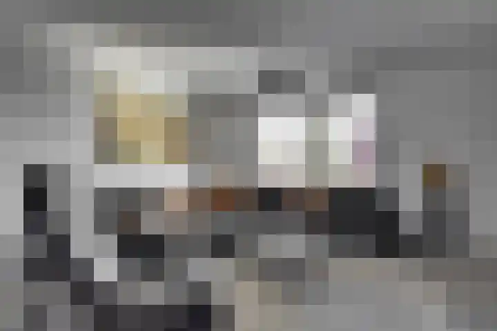 Bijenlaan 18 Son en Breugel thumbnail 27