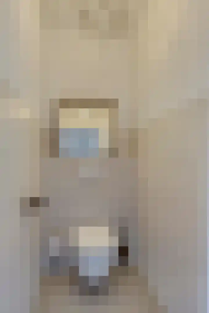 Bijenlaan 18 Son en Breugel thumbnail 29