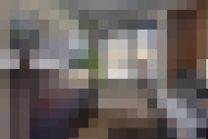 Bijenlaan 18 Son en Breugel thumbnail 30