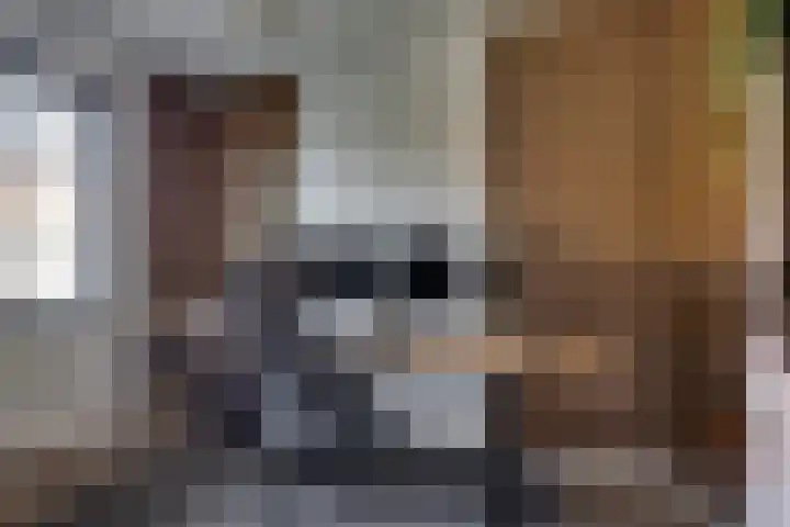 Bijenlaan 18 Son en Breugel thumbnail 31