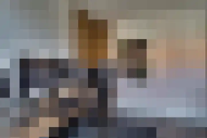 Bijenlaan 18 Son en Breugel thumbnail 32
