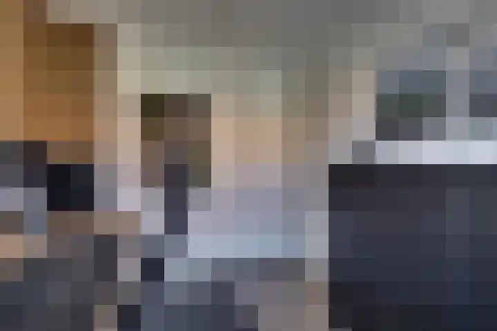 Bijenlaan 18 Son en Breugel thumbnail 33