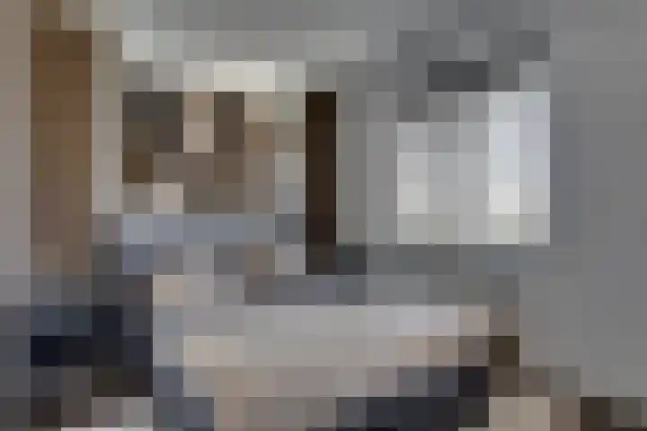 Bijenlaan 18 Son en Breugel thumbnail 35