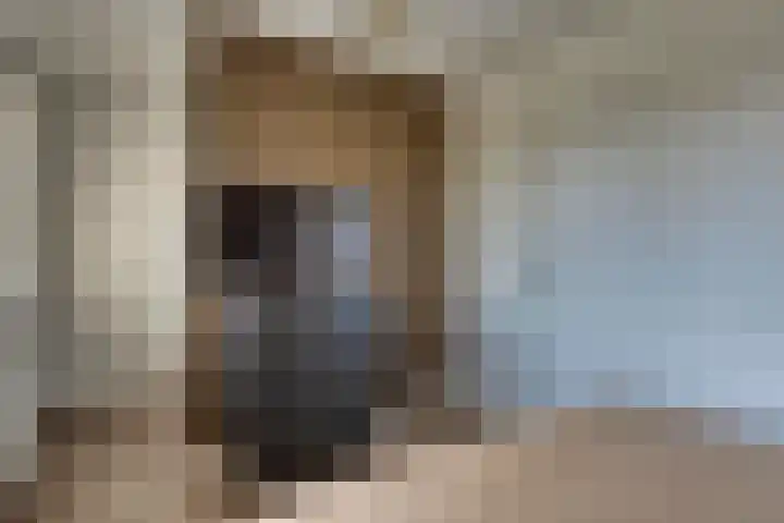 Bijenlaan 18 Son en Breugel thumbnail 36