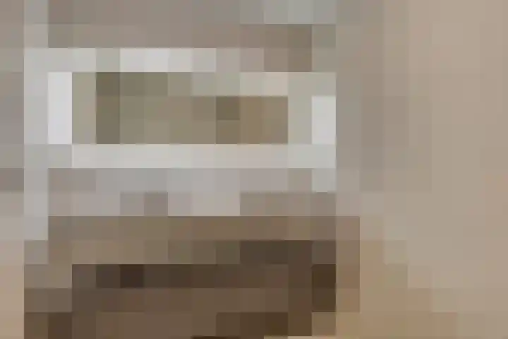 Bijenlaan 18 Son en Breugel thumbnail 4
