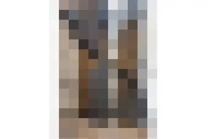 Bijenlaan 18 Son en Breugel thumbnail 43
