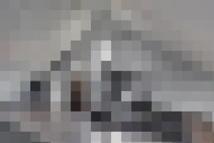 Bijenlaan 18 Son en Breugel thumbnail 45