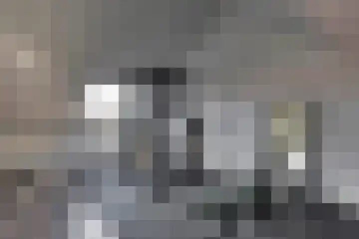 Bijenlaan 18 Son en Breugel thumbnail 47